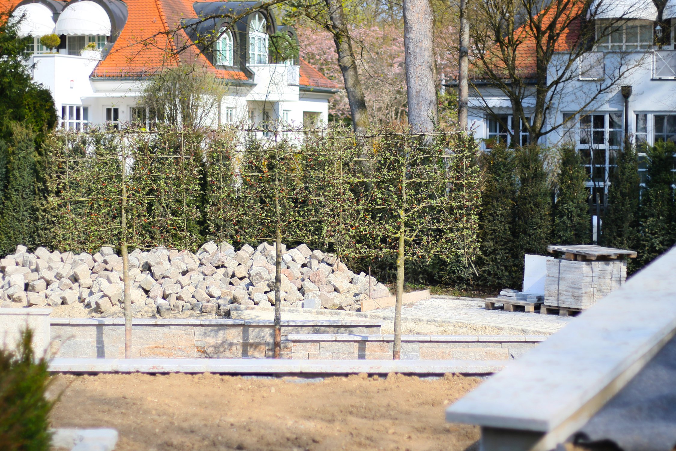 Baustelle Grünwald April Spalier
